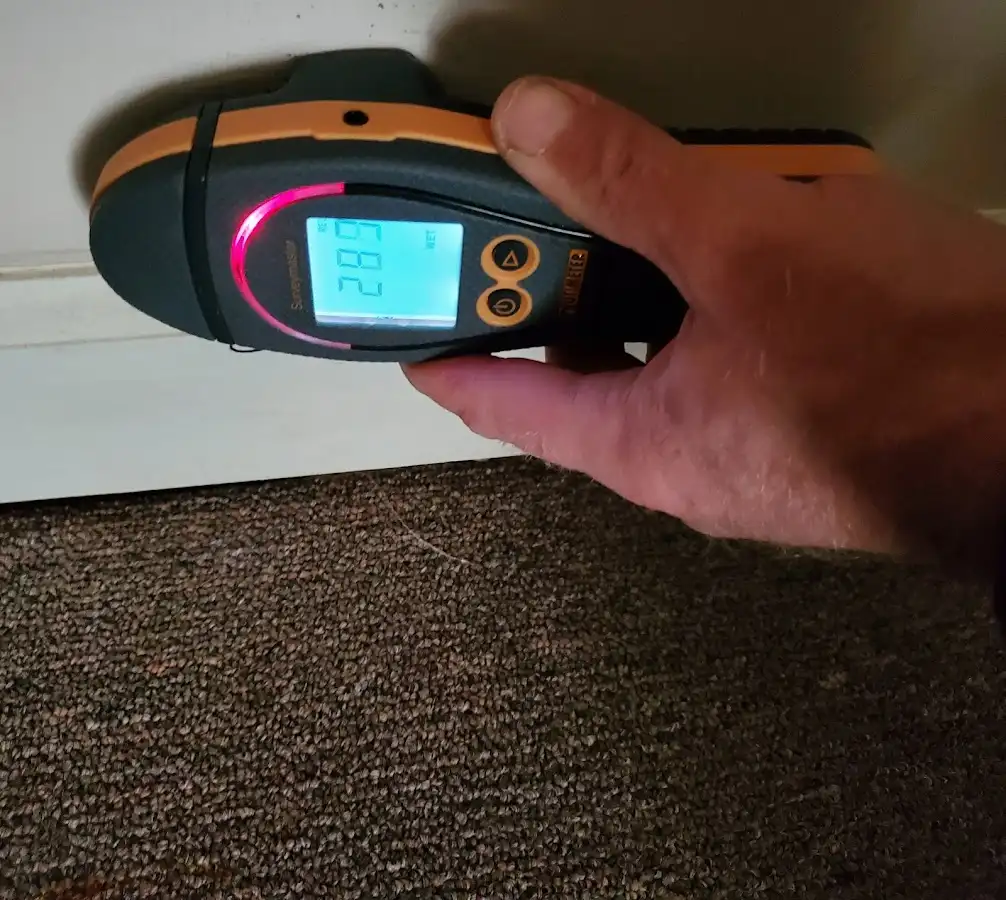 Moisture detection at baseboard during Sewage Cleanup & Sanitation in Hoover